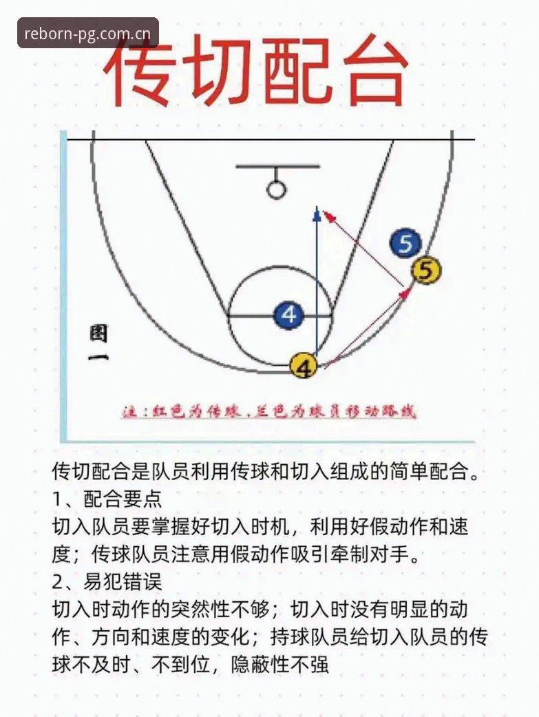 再出发篮球数据 3个常见疑问+5步实测:再出发篮球数据到底怎么用?